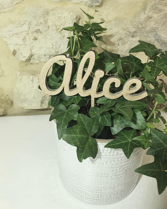 cake topper personnalisable prénom âge phrase